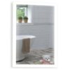 AQUARIUS LED Bathroom Mirror 70 50 Img01